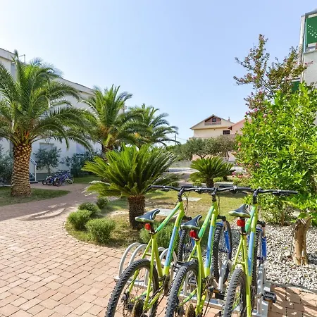 Apartament Batimat *